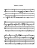 Interrupted Passacaglia for Flute, Oboe, Accordion and Cello